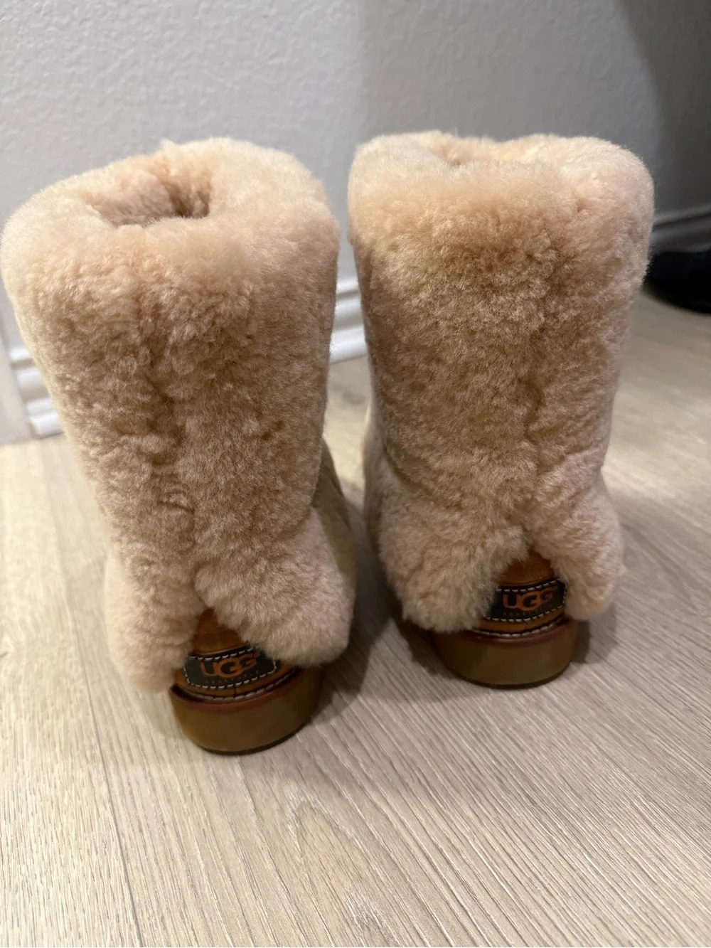 UGG Women's Chestnut Shearling Suede Winter Boots